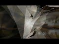 Madwizards - Glare
