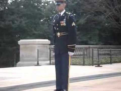 The guard at the Tomb of the unknown ...