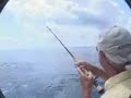 Costa Rica/Crocodile - Sailfish fly