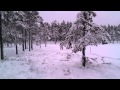 L�ngdsp�r S�rskog