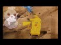 Vídeo Infantil