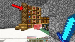 $20,000,000 Minecraft raid was over..then our cannon found THIS!