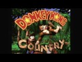 classic game room presents a cgr undertow review of donkey kong coountry for the super nintendo/snes from 1994. this review continues the official unofficial donkey kong celebration at the cgr undertow underwater compound. this video game, donkey kong country, helped put nintendo back at the top of the video game industry hierarchy. this cgr undertow video game review features donkey kong country video gameplay footage and commentary from classic game room's derek.
