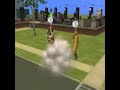 Sims 2 girl kicks cows ass