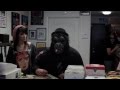 Record Jungle Commercial Final