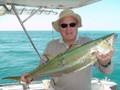 Shark Mackerel
