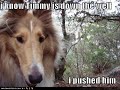 Loldogs: part 1 Loldogs: part 1