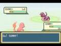 Pokemon Script Gone Wrong