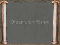 videos de Columnas ~ Ordenes egipcios