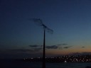 harmony with the breeze
