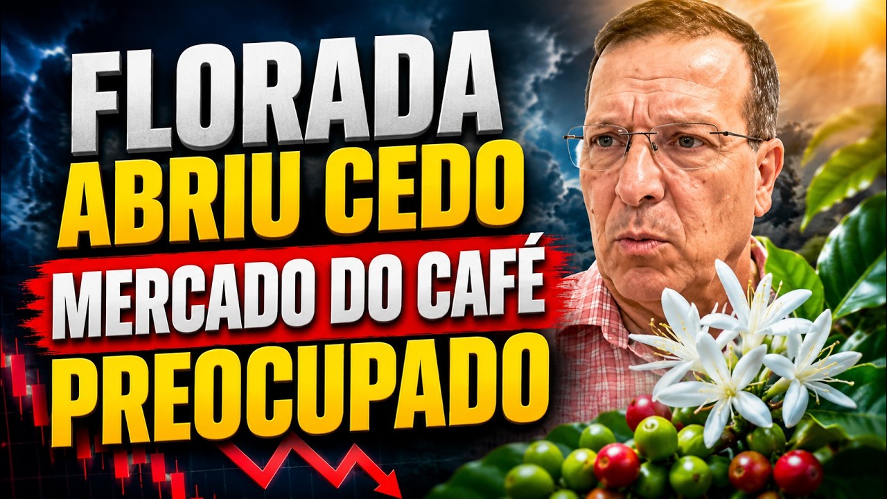 Florada abriu cedo: Por que o mercado do café está tão preocupado?