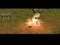 プリンストンテール動画