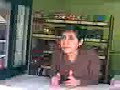lagartijas