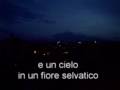 videos de ORTADONISQATSI - FONTIONI
