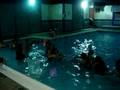TUG OF WAR n d pool