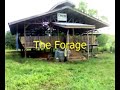 Orion Farms - Goathouse,Paddocks & Forage Orion Farms - Goathouse,Paddocks & Forage