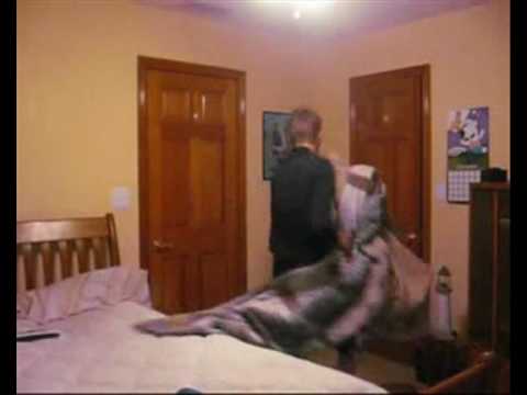 Youtube Video Ax8Sn_GHLsI