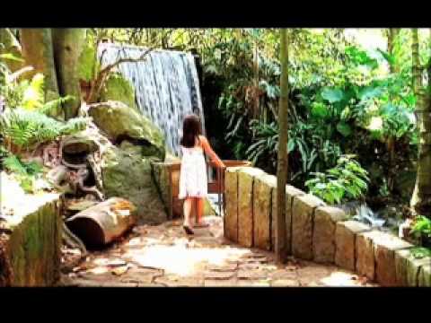 Aterciopelados - Treboles