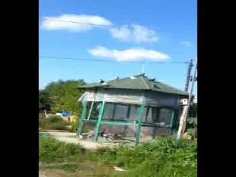 visokoletac -