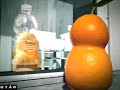 Tropicana Commercial Tropicana Commercial