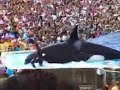 Orca Movie