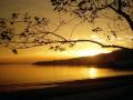 videos de De noche