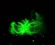 Noaptea Alba Laser Show Bucuresti 2007 , Spectacol lasere 2