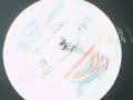 instant funk /slam dank the funk 1982 salsoul records