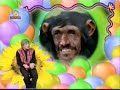 Thumbnail #3