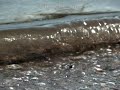 Wave in slow motion, 2000 fps Wave in slow motion, 2000 fps