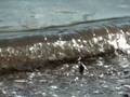 Wave in slow motion, 2000 fps