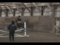 New horse for Isabel
