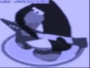 Club Penguin What i Want
