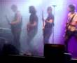 sopravvissuti e sopravviventi cover ligabue