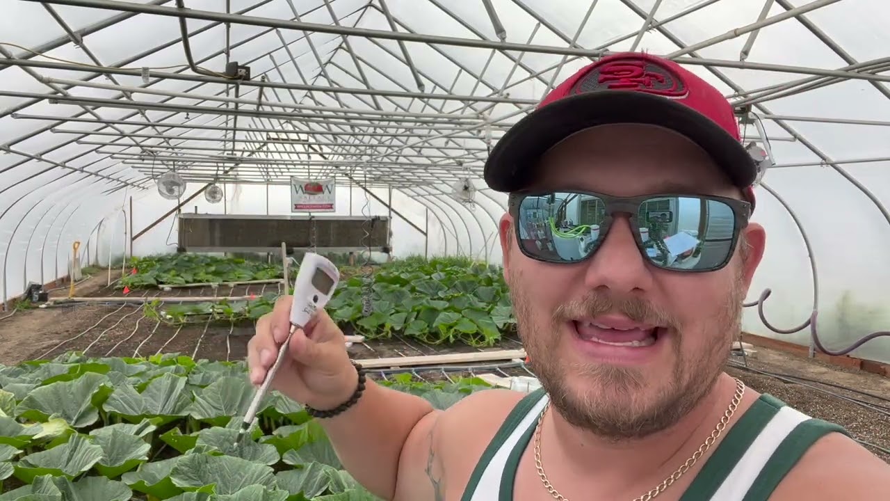 Grow a giant pumpkin – Advanced water and fertilizer methods.