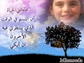 احبك موت يا عمري