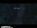 videos de 44