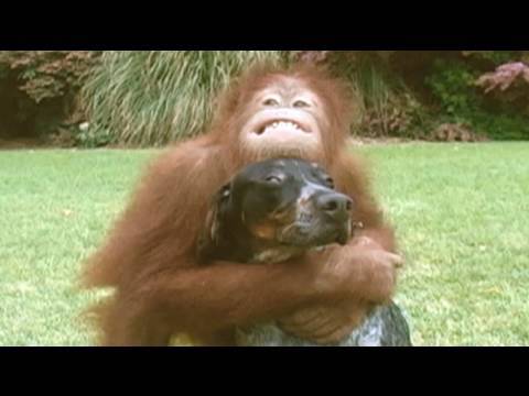 Unlikely Animal Pairs Defy Laws of Nature