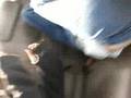 funny car rides