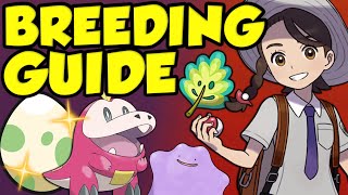 BEST POKEMON SCARLET AND VIOLET BREEDING GUIDE! How To Breed In Pokémon Scarlet and Violet! by Verlisify