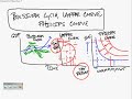 AP Macroeconomics Graphing Review - Part 8