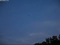 airhogging-among-the-birds.html