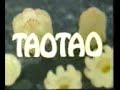 Tao Tao
