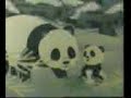 Tao Tao