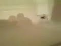 big ass spider