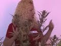 Seeds of LOVE Seeds of LOVE