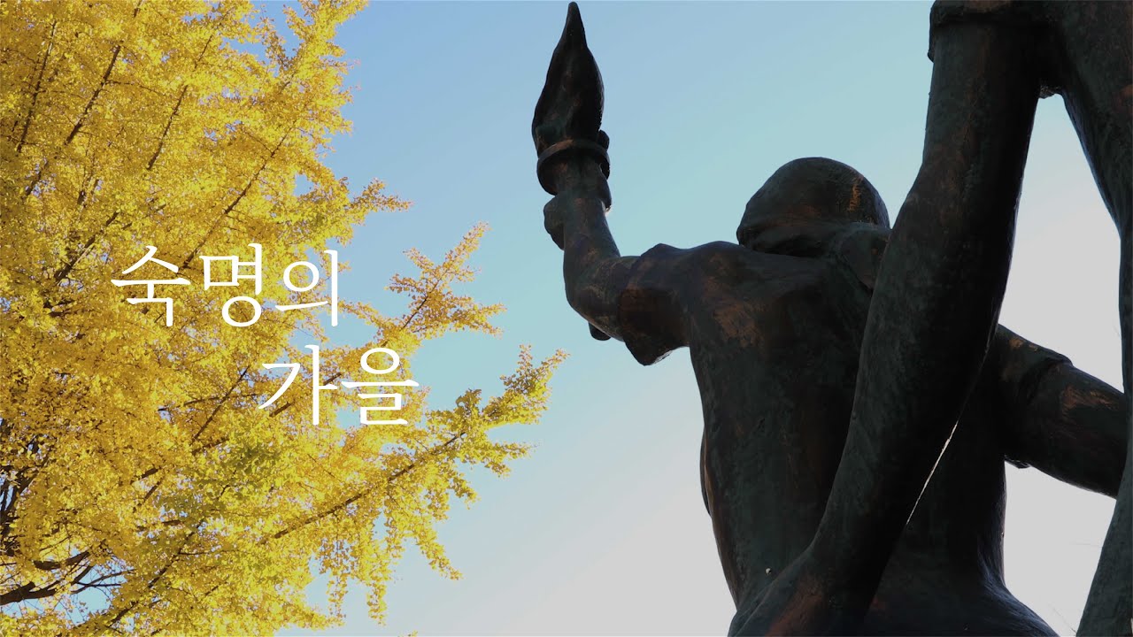 숙명의 가을🍂｜캠퍼스 스케치
