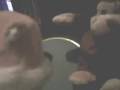 Robot Chicken Plush Version Ep1