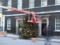 A Christmas Tree for Downing Street A Christmas Tree for Downing Street