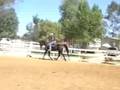 Carless Desire Sale Video